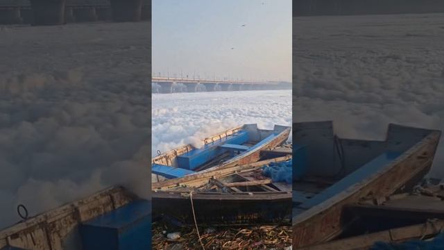 Реку Ямуна в Индии затянуло ядовитой пеной