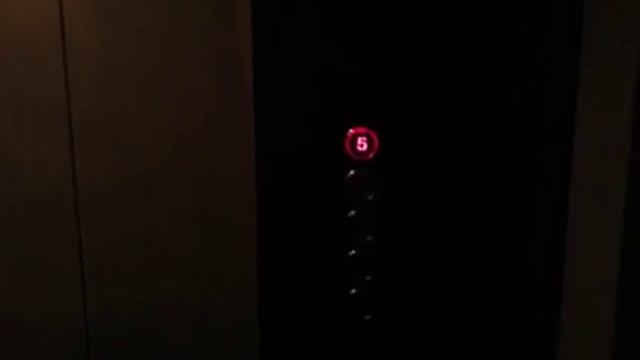 Электрический лифт V=0,71 м/с, г-п 400 кг (483)