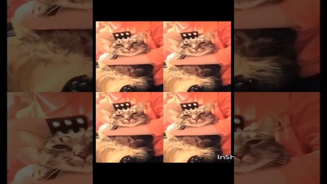 так вот для чего этот браслет 😂