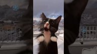 :3