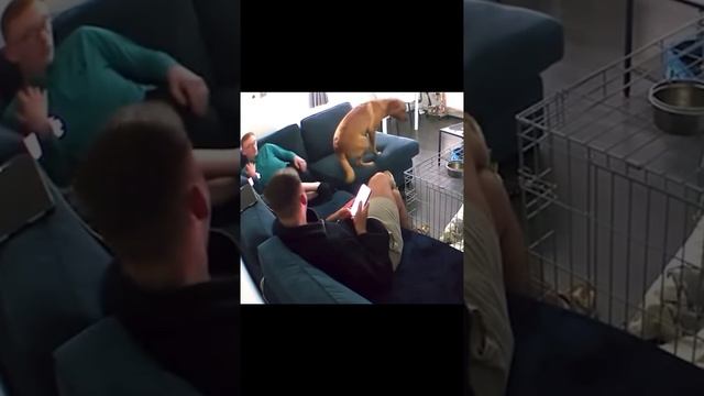 1000070721.mp4