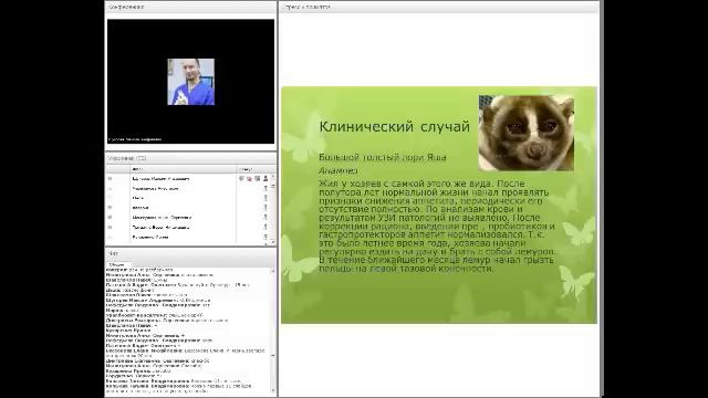 Стресс у приматов. Щугорев Максим #убвк_экзотические_животные