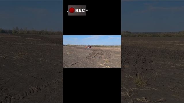 Ростсельмаш  2400 в работе