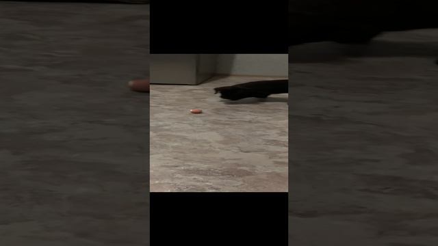 Странный шарик