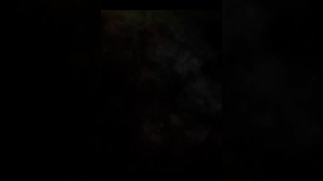 КР - Вики и Голод