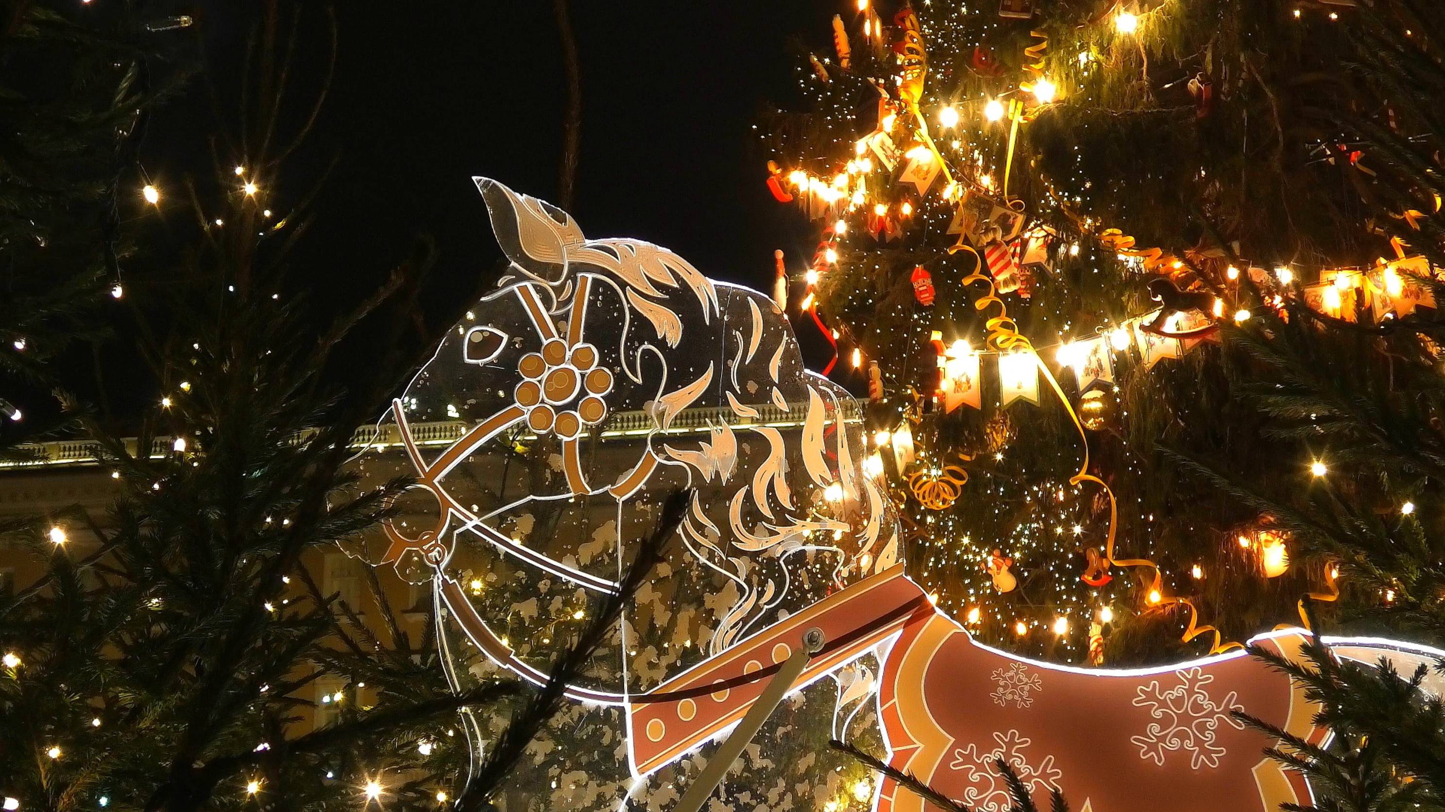 Новогодние вечера в Петербурге. Ёлка на Дворцовой площади