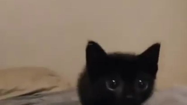 Есть тьма, а есть тьмаленькость