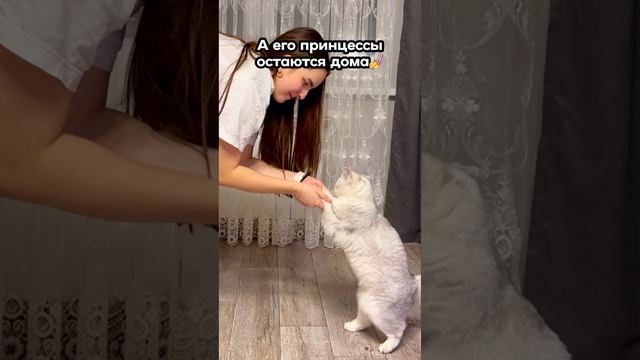 Сидим с бобром.🐈 Лучшие подружки чилят вместе💃