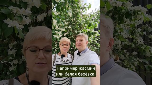 Чистая энергия! Забытый лайфхак. #shorts #психология