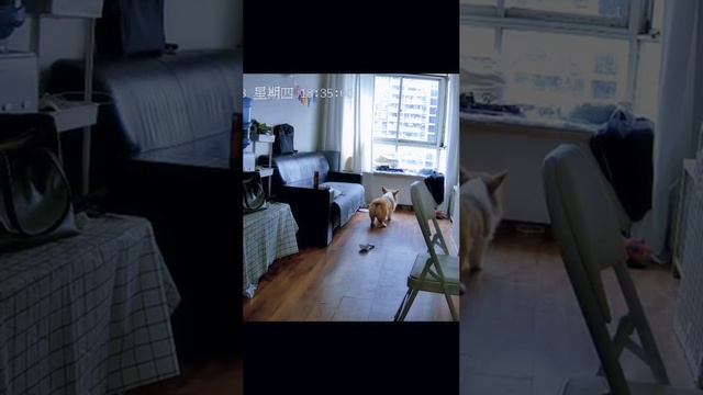 1000070729.mp4