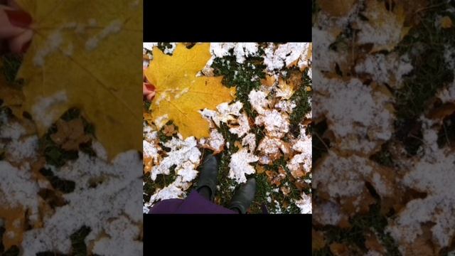 YouCut_20250109_110312434.mp4