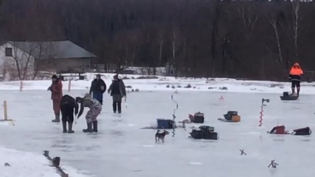 Очередная поклевка