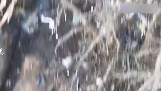 Снимаю перед Вами шляпу...