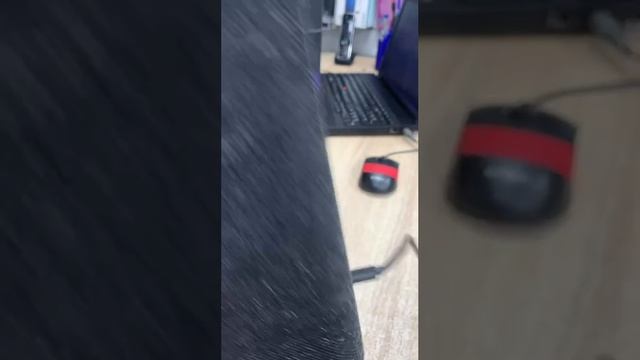VID_20250109_160939_477.mp4.mov