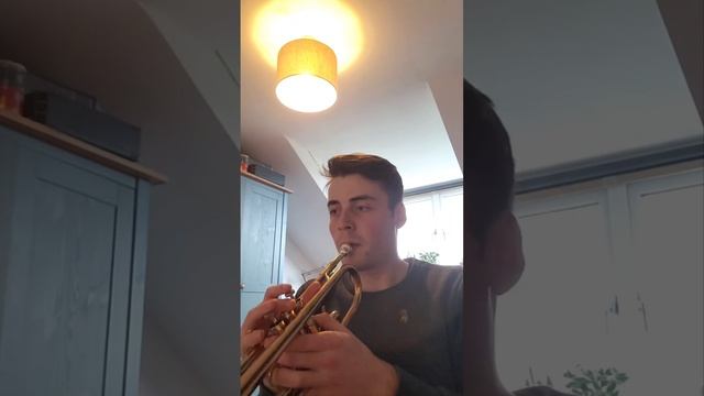 Children of Sanchez - Chuck Mangione - Trumpet version