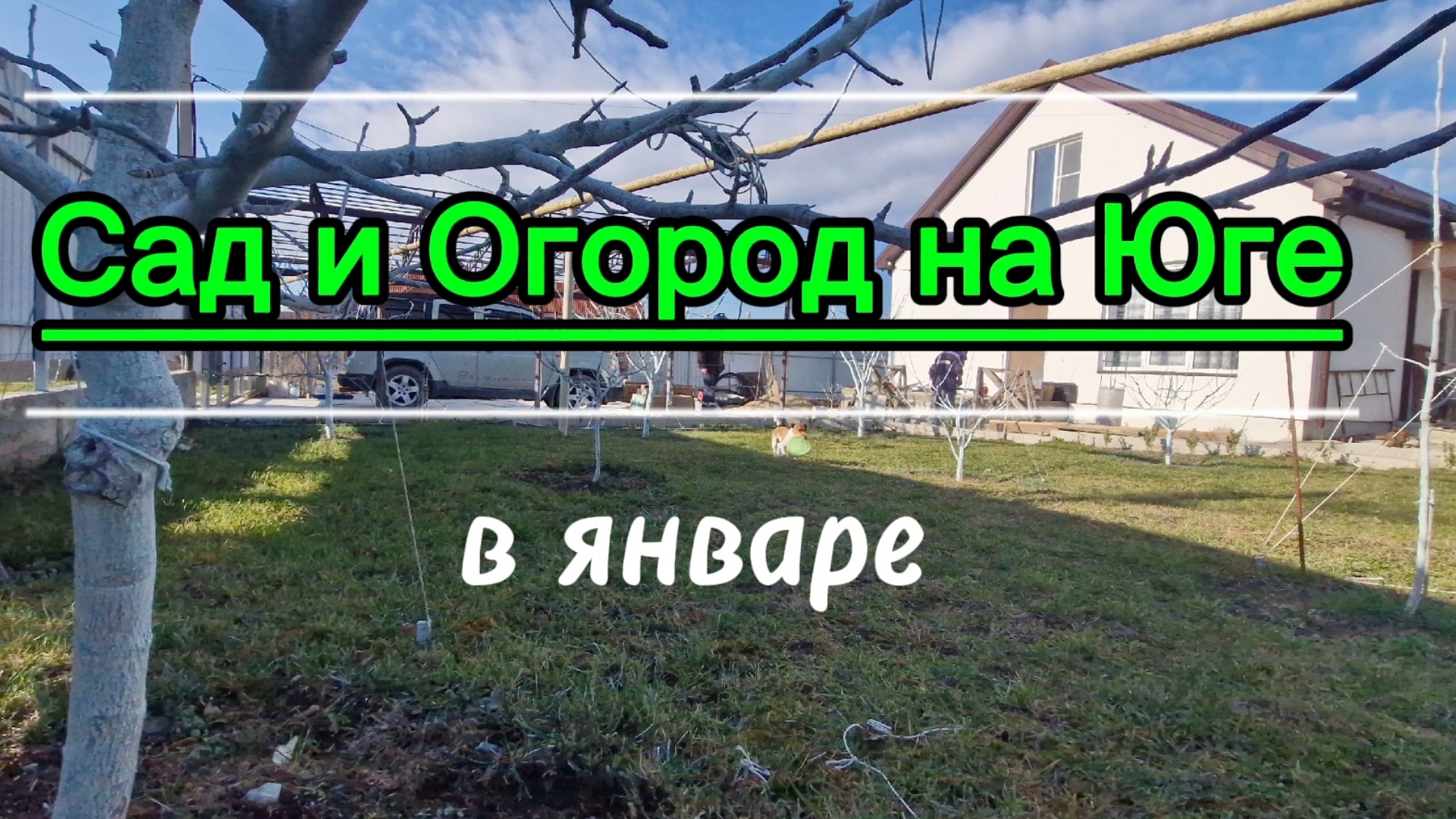 САД и ОГОРОД на ЮГЕ в ЯНВАРЕ.Станица Натухаевская.