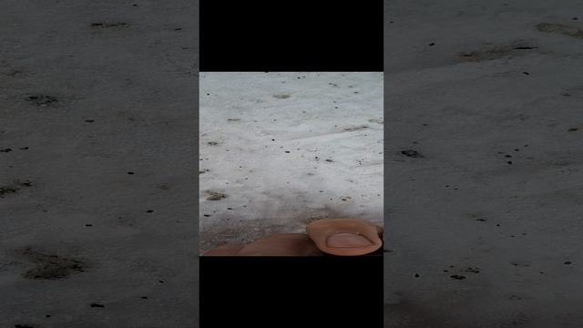 1000007376.mp4