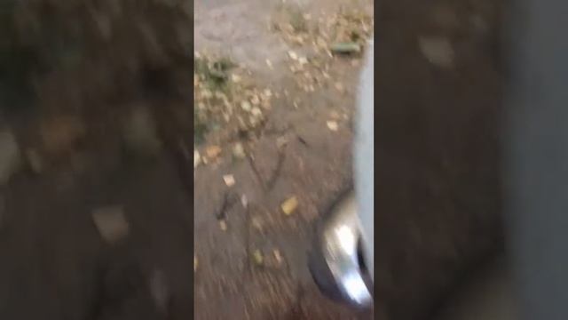 обзор парковки+советский запорожец