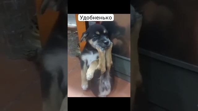 Сидю вот.. думаю.