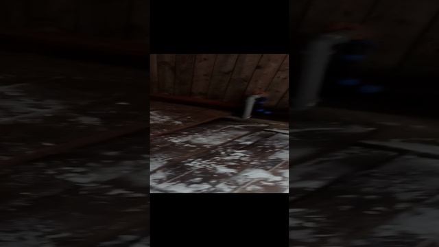 соц. дача СПБ для детей инвалидов. выехали зимой на новогодние каникулы.