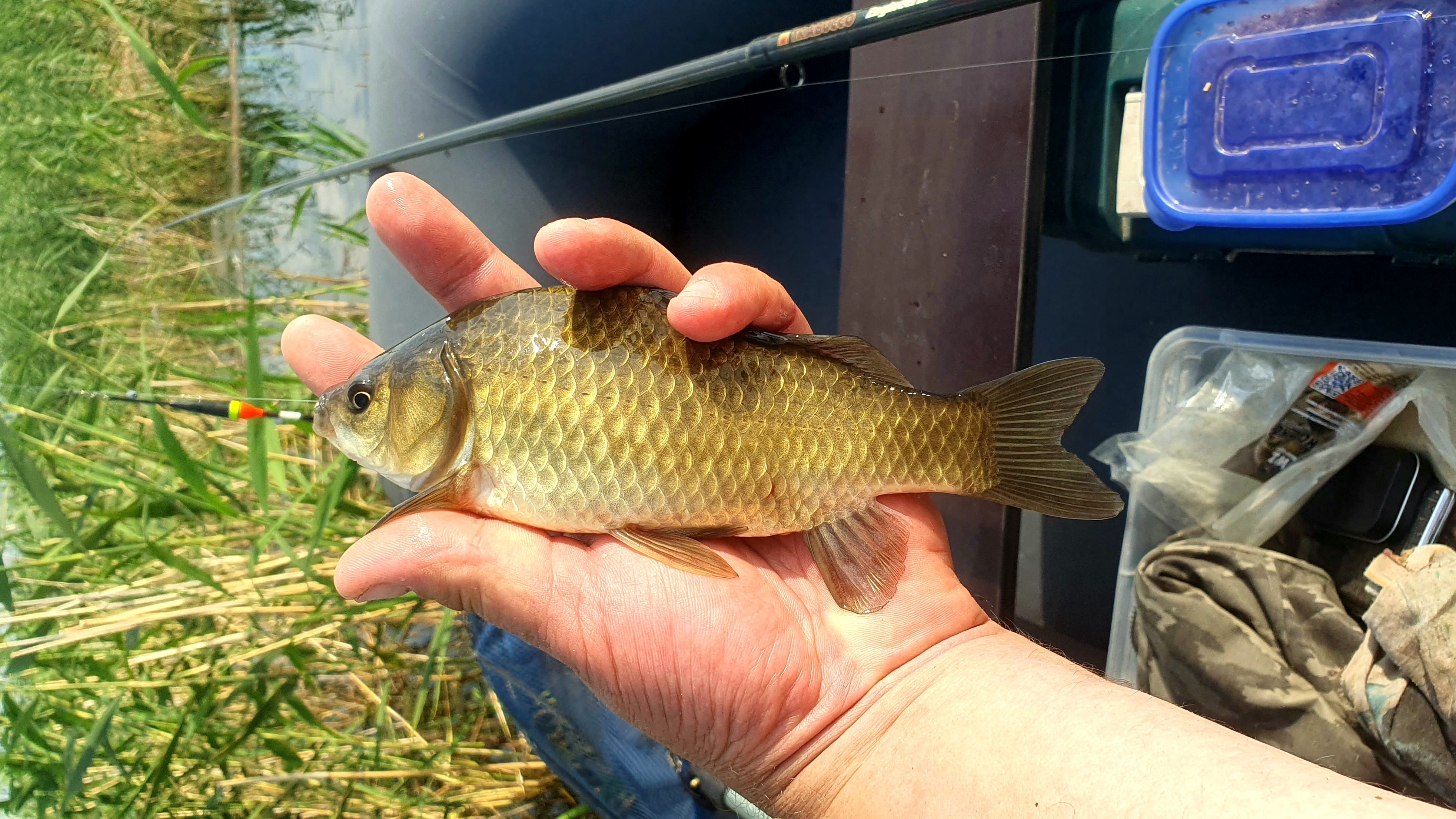 Отменный клёв Карася!👌