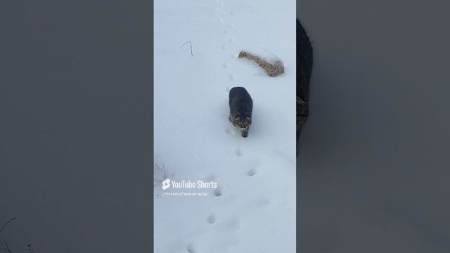 1000002311.mp4