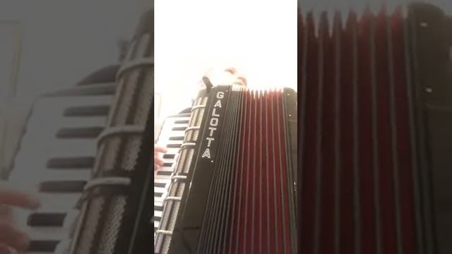 Playing Bitch lasagna on accordion for 1 hour (day 11)