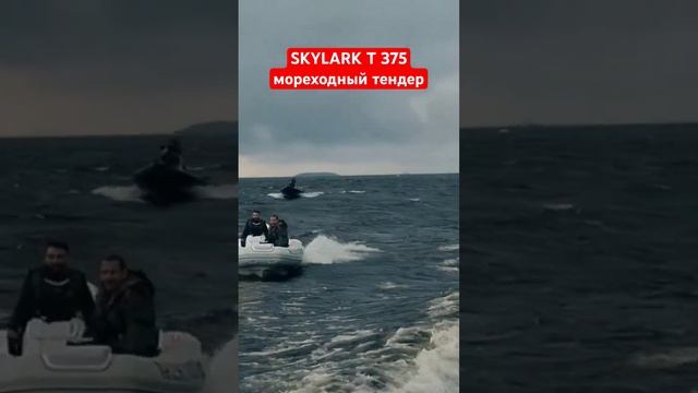 Мореходный тендер для яхт SKYLARK T 375 #rbsservice #skylark375 #riverboats