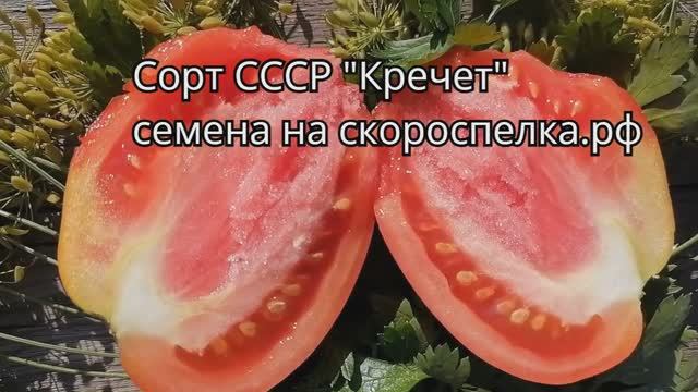 Советский томат "Кречет". Сорт 1951 года. Попробуйте прошлое на вкус. Семена купить у нас на сайте.