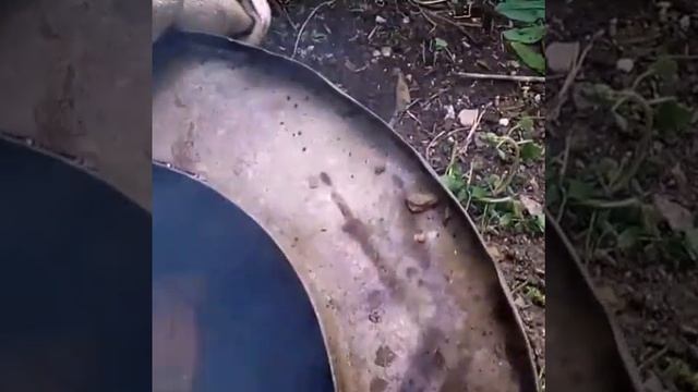 Комбинированное копчение подчеревка на вишне