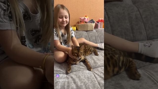 Массажист