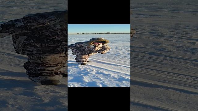 рыбалка с сыном озеро Уелги