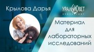 Лабораторные исследования. Материал для исследований. Крылова Дарья #убвк_лабораторная_диагностика