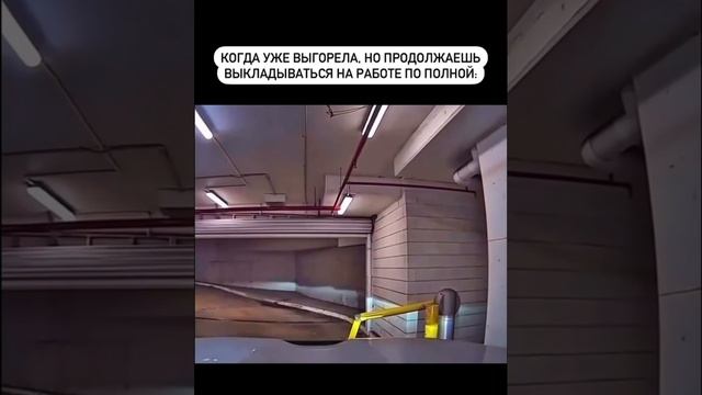 Все мы немного этот шлагбаум