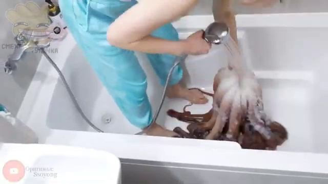 МУКБАНГИ ЗАШЛИ СЛИШКОМ ДАЛЕКО