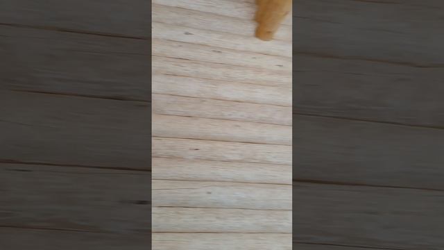 Конопатим дом, примерно 2000 метров погоных