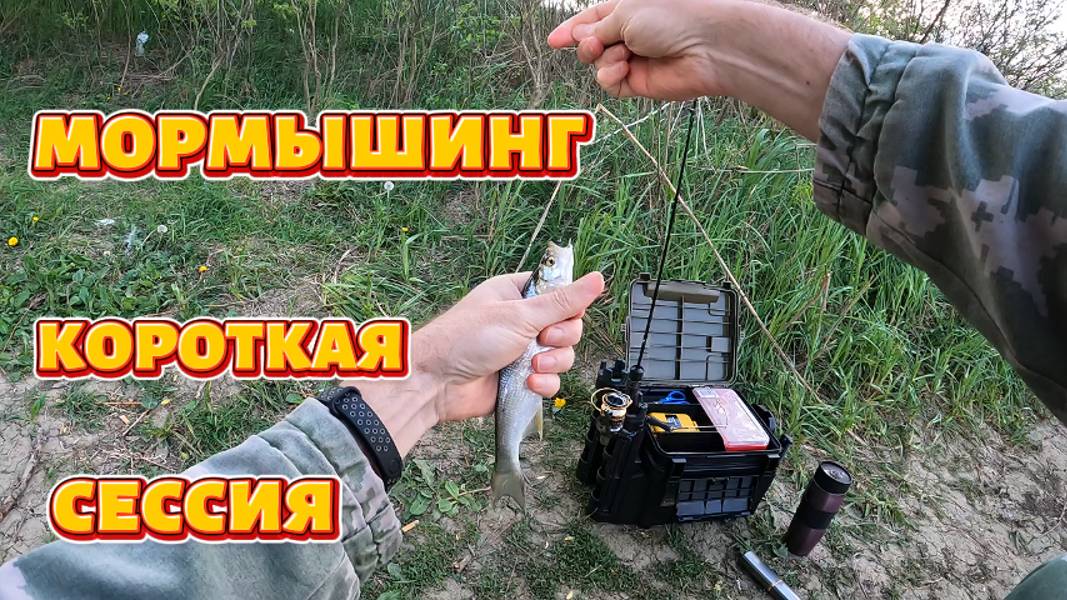 Мормышинг. Короткая сессия.