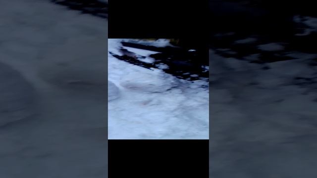 МотоБукс  опять подшипник_20250104_164739.mp4