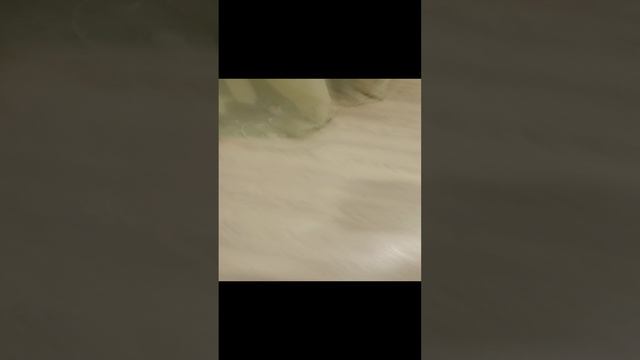 капибару избили серия 2