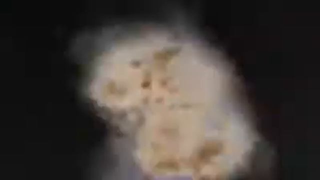 Вечер с грушей