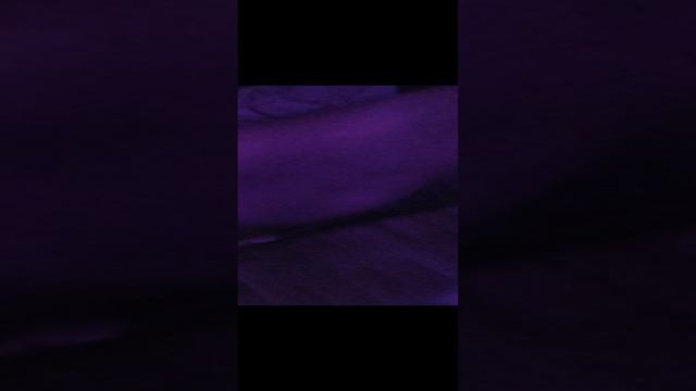 1000003203.mp4