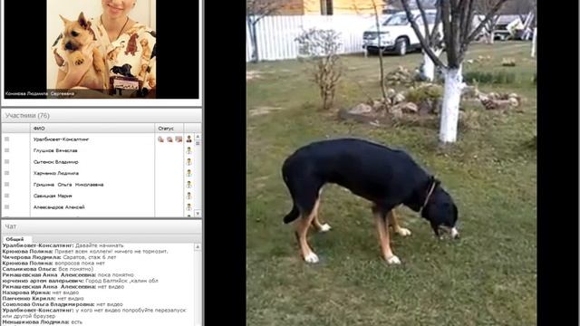 Что такое судороги и почему они возникают? Коникова Людмила #убвк_неврология