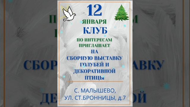 12.01.2025 г Ярмарка ст. Бронницы 👍