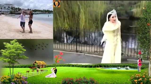 Мажнунтол... Плакучая ива... - исп.Даврон Эргашев ... ...