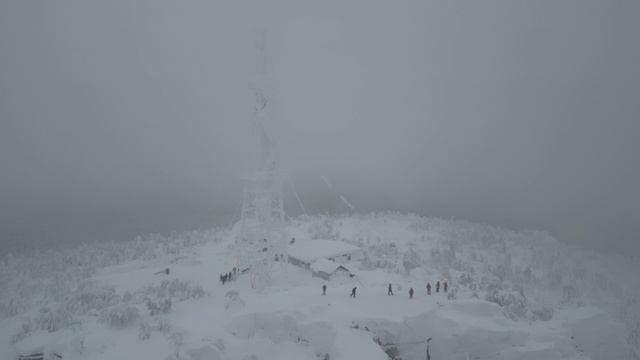 Полюд Ветлан 2025