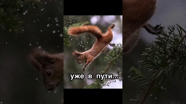 Когда увидела снеговика