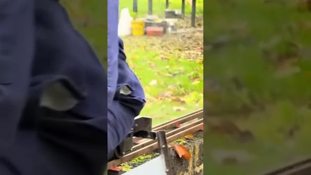 Мужики хотят только одного