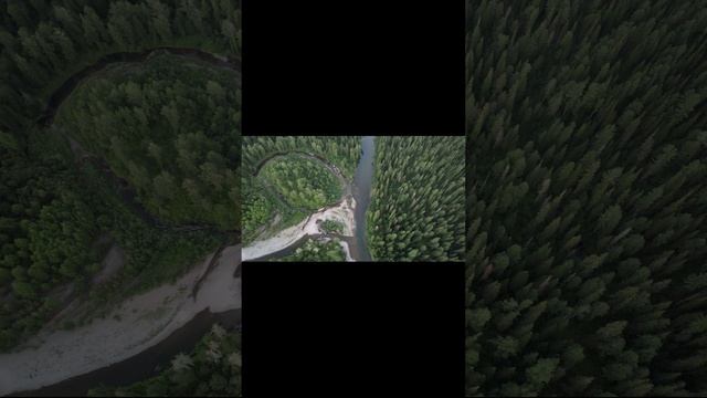 небольшие полеты и видео природы