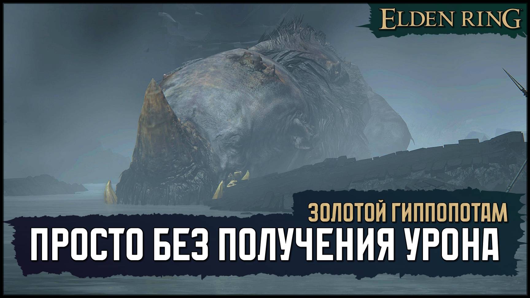 Догони гиппопотама... неудачный No-Hit 🡆 Elden Ring