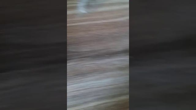 хачапури с сыром.#рекомендации